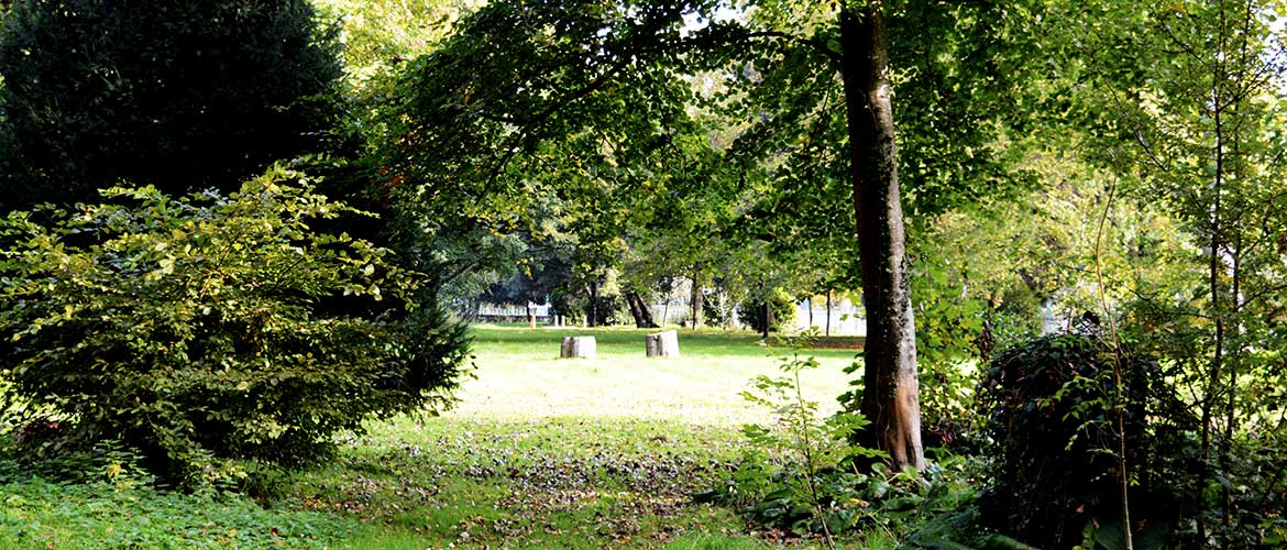 The biodiversity trail in the grounds of Singleton Park Campus