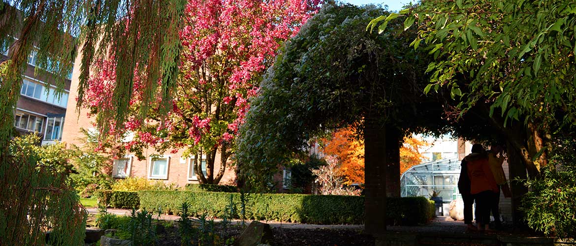 People walking in Botanical Gardens, Singleton Park Campus, Swansea University