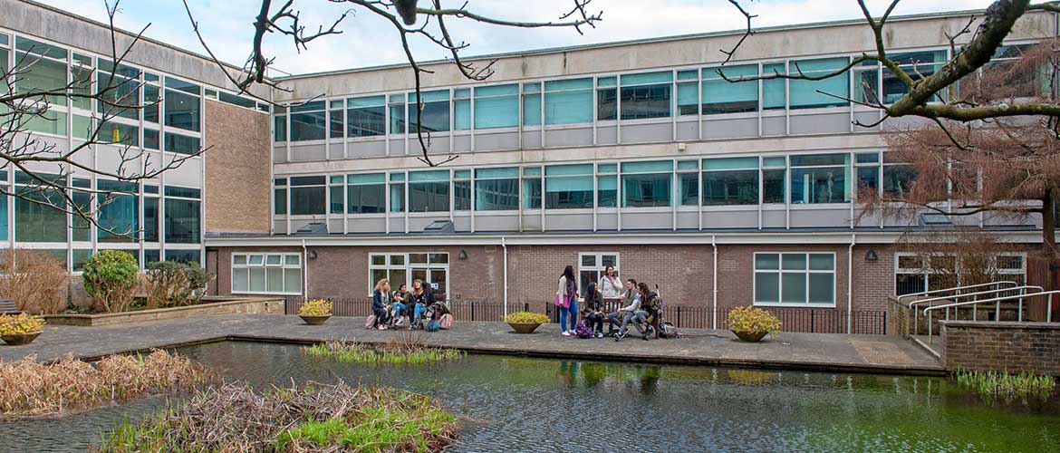 Students relaxing at Vivian Tower pool, Singleton Park Campus