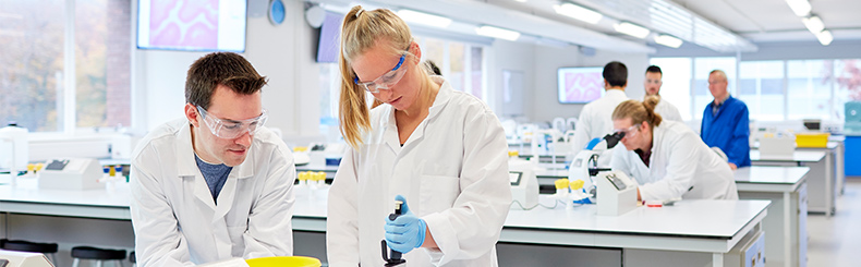 students working together in a lab