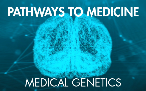 Electric Blue Brain with Pathways to medicine Medical Genetics written on it.