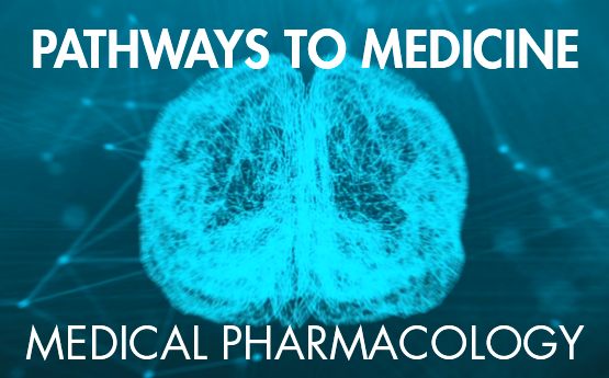 Electric blue brain, image for Medical Pharmacology Pathways Video