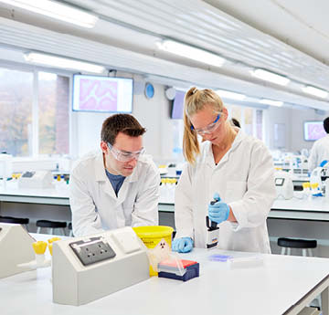 students doing an experiment in a lab