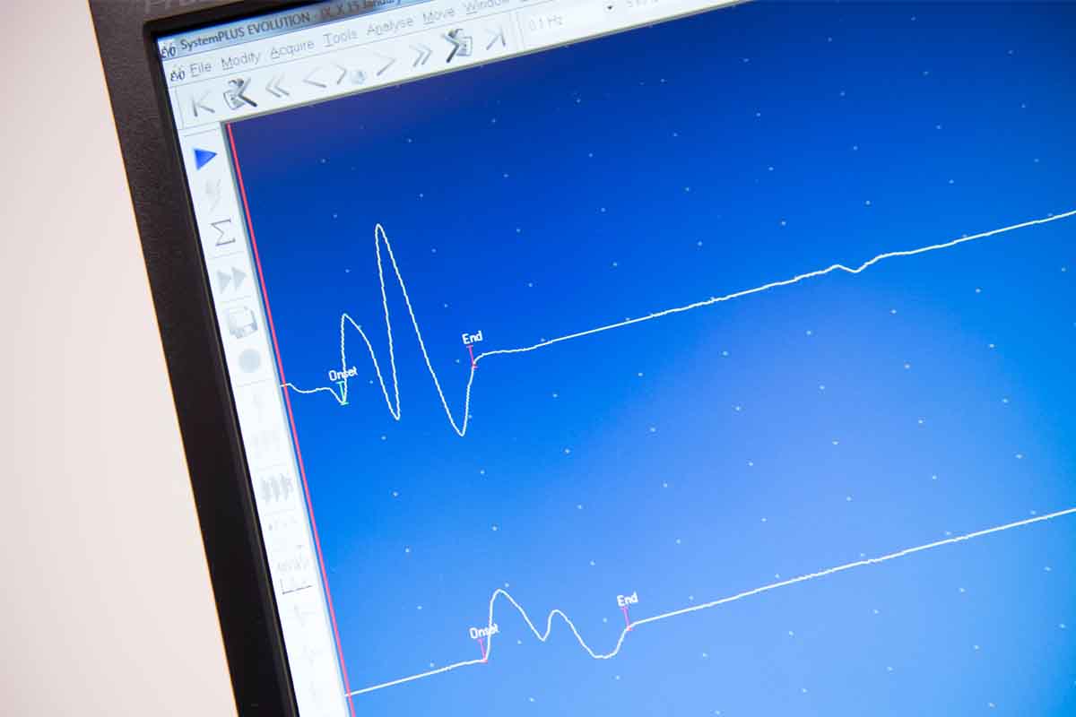 Neurophysiology programme 