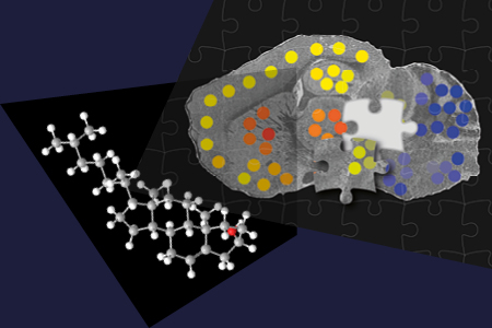 Research Excellence image