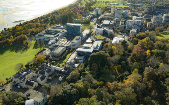 Aerial view of Singleton Campus.