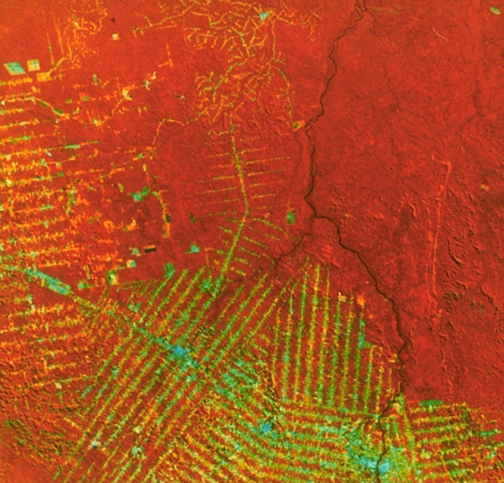 Landsat image