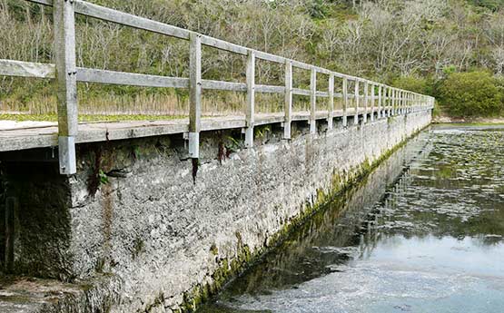 Stackpole Bridge