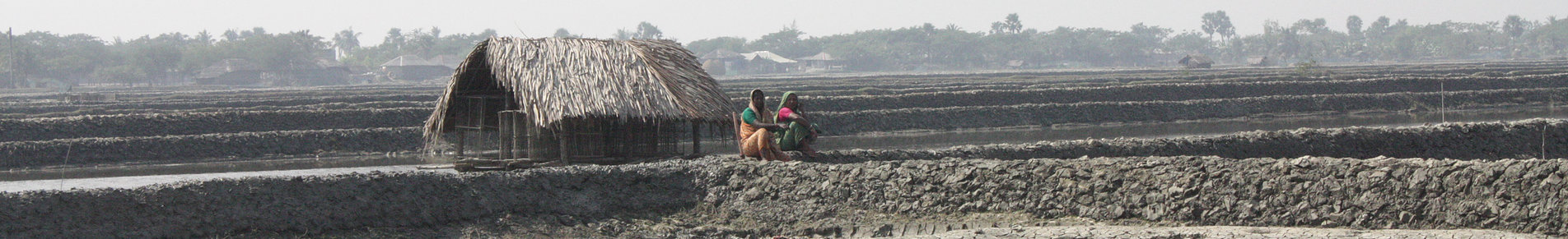 Bangladesh shrimp farms