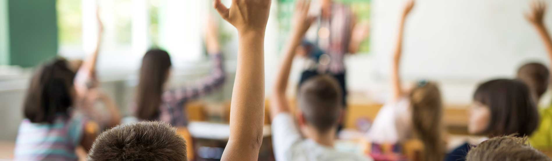 pupils in classroom