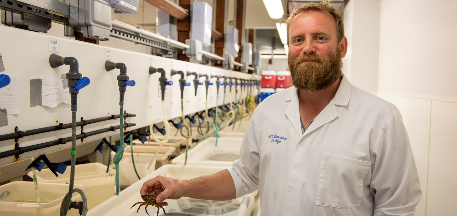 Dr Ed Pope holding a shore crab. 