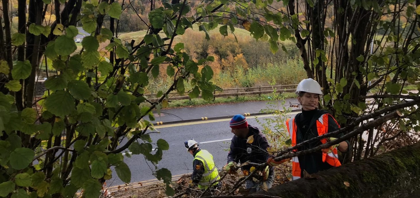 Swansea University COAH students taking part in woodland project 