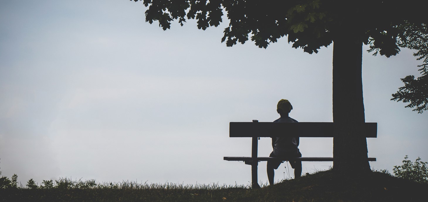 A person sitting on a bench under a tree