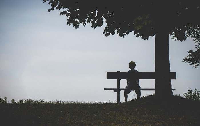 A person sitting on a bench under a tree