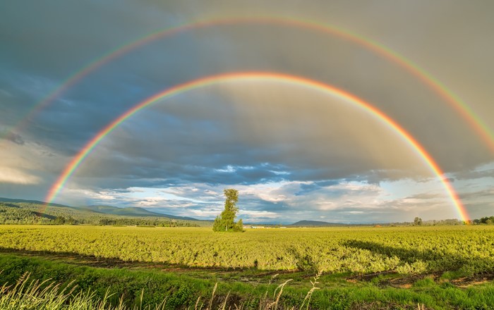 Rainbow over land