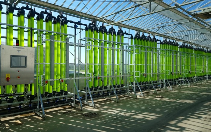 New study shows how microalgae could be crucial to circular economy 