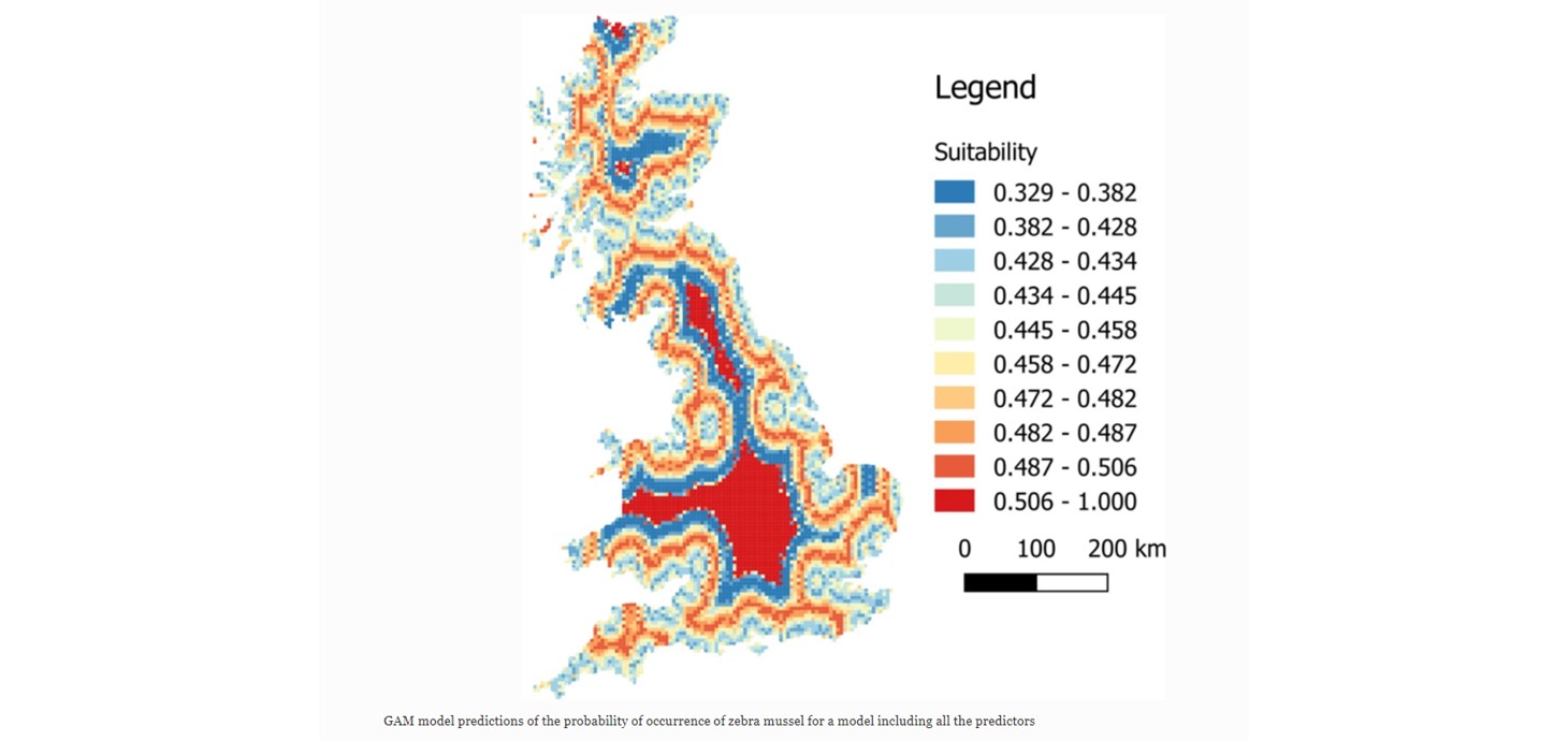 Image shows model predictions of the probability of occurrence of zebra mussel, adapted from Rodriguez-Rey et al (2021). 