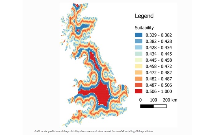 Image shows model predictions of the probability of occurrence of zebra mussel, adapted from Rodriguez-Rey et al (2021). 