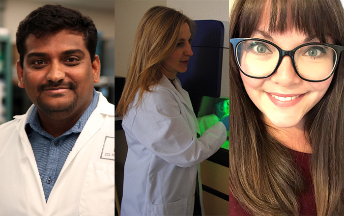 Dr Suresh Mohankumar, Dr Rhian Thomas, Sophie Croucher are joining the University’s Medical School. 