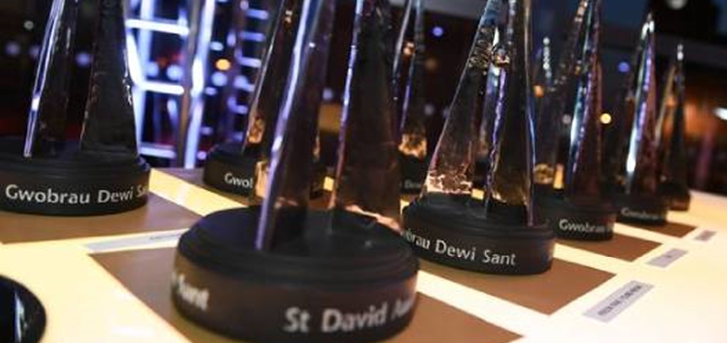 St David Awards