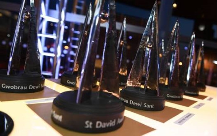 St David Awards