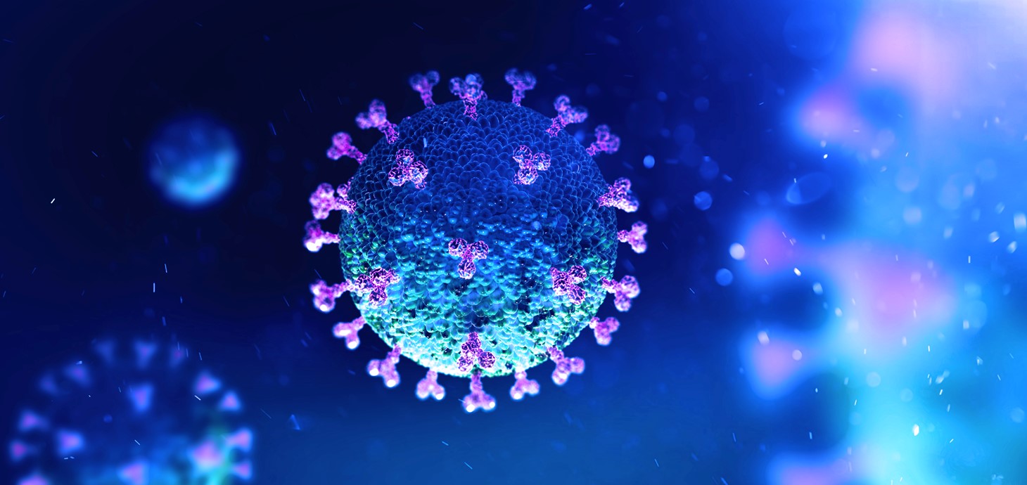 Coronavirus cell