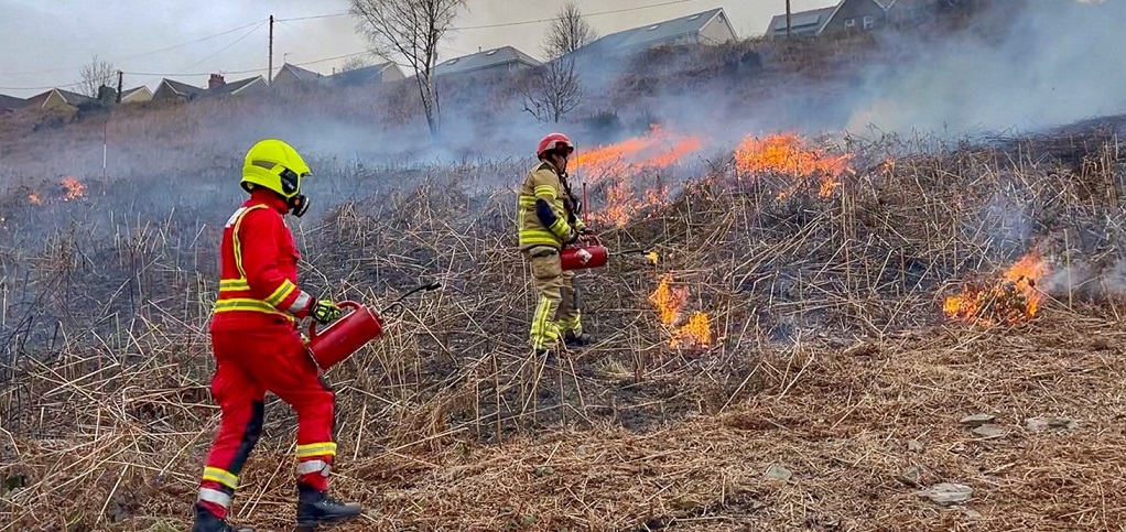 Firefighters tackling a grass fire 