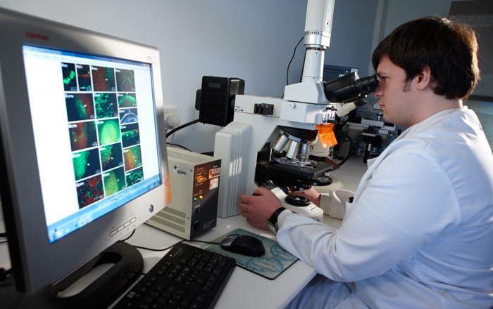 A researcher looks into a microscope.