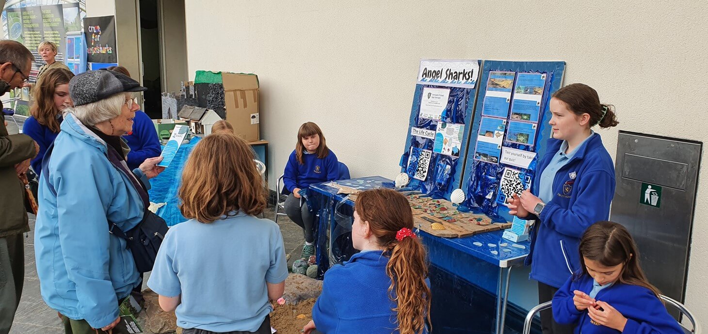 Pupils from Tavernspite CP School speaking to members of the public about what they’ve learnt.