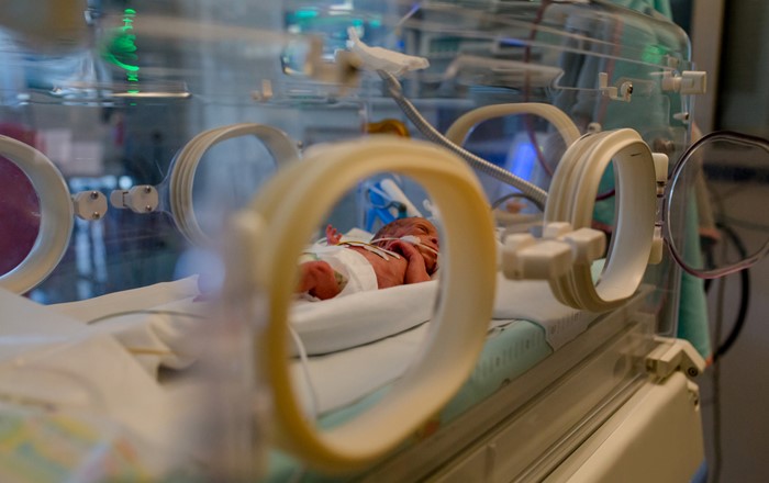 Premature baby in nappy seen through door of incubator in special care baby unit 