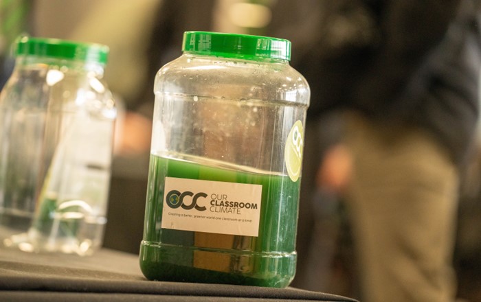 One of the liquid trees that are placed in classrooms to teach pupils about climate change and clean the air by capturing carbon.