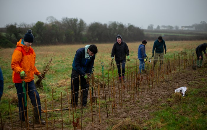 Volunteers planting trees in a field.