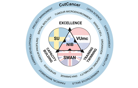 University in new Horizon Europe CutCancer twinning project