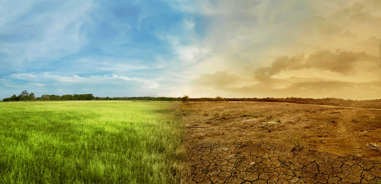 Landscape of meadow field with the changing environment