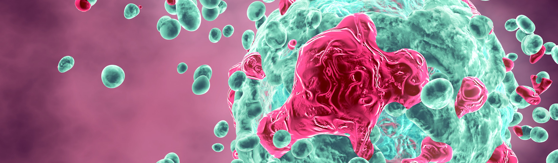 Mutating cancer cell