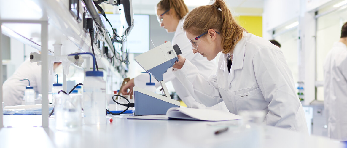 student working in a lab