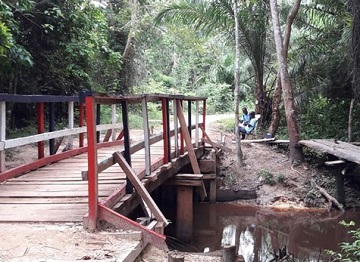 wooden bridge 