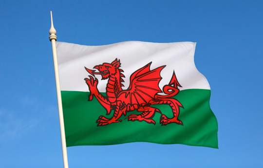 Reversing Language Shift in Wales