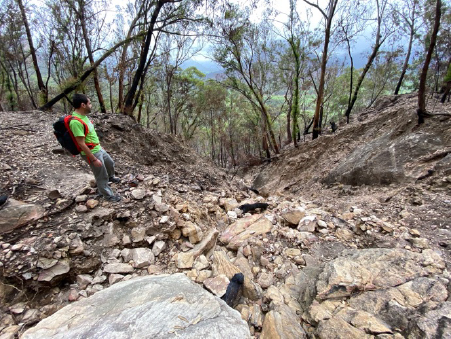 researcher standing by wildfire remains