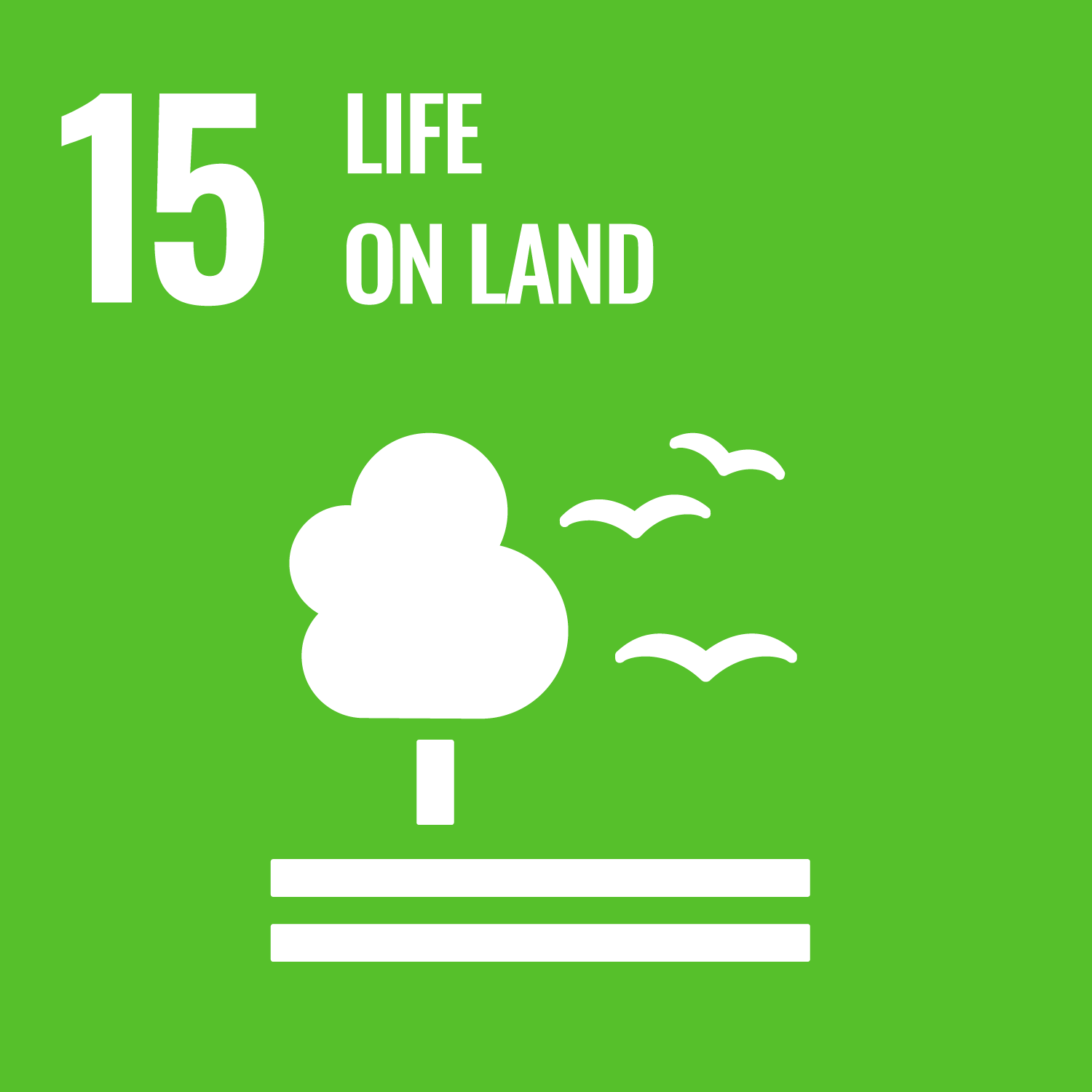 UN Sustainable goal - Life on Land