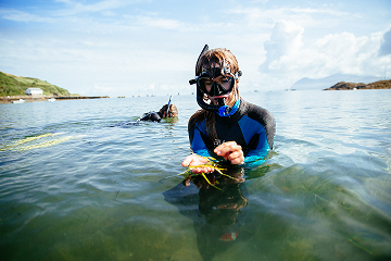 Deep sea diver and seagrass