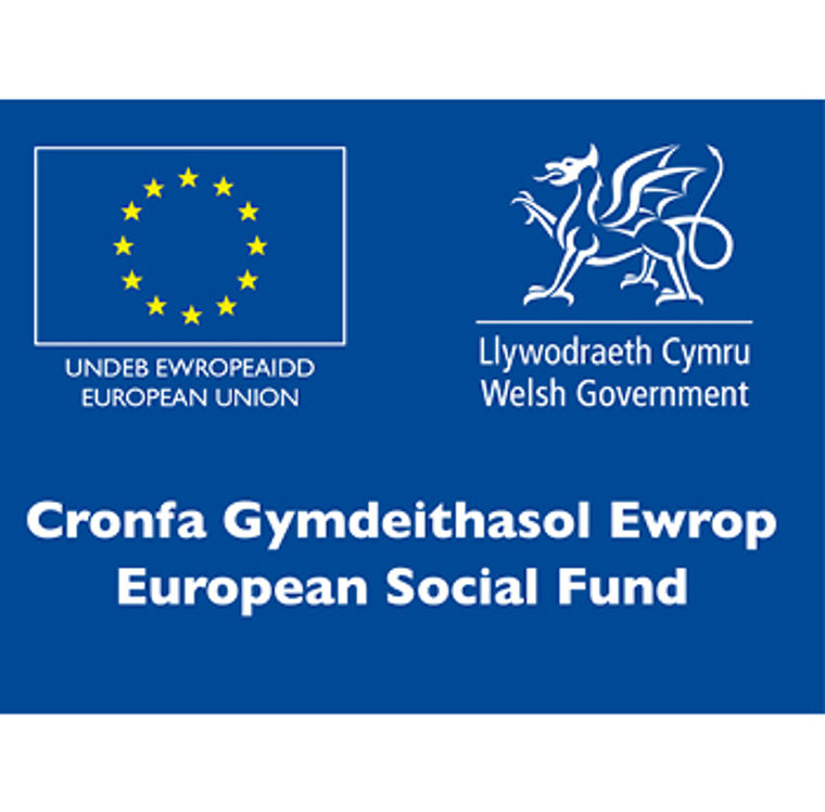 Welsh Government logo