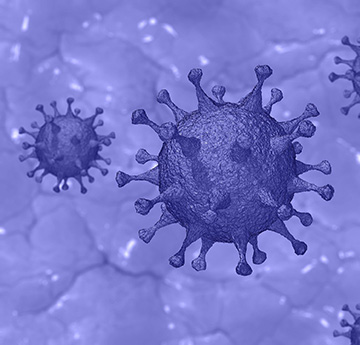 COVID virus