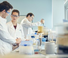 Students working in a lab