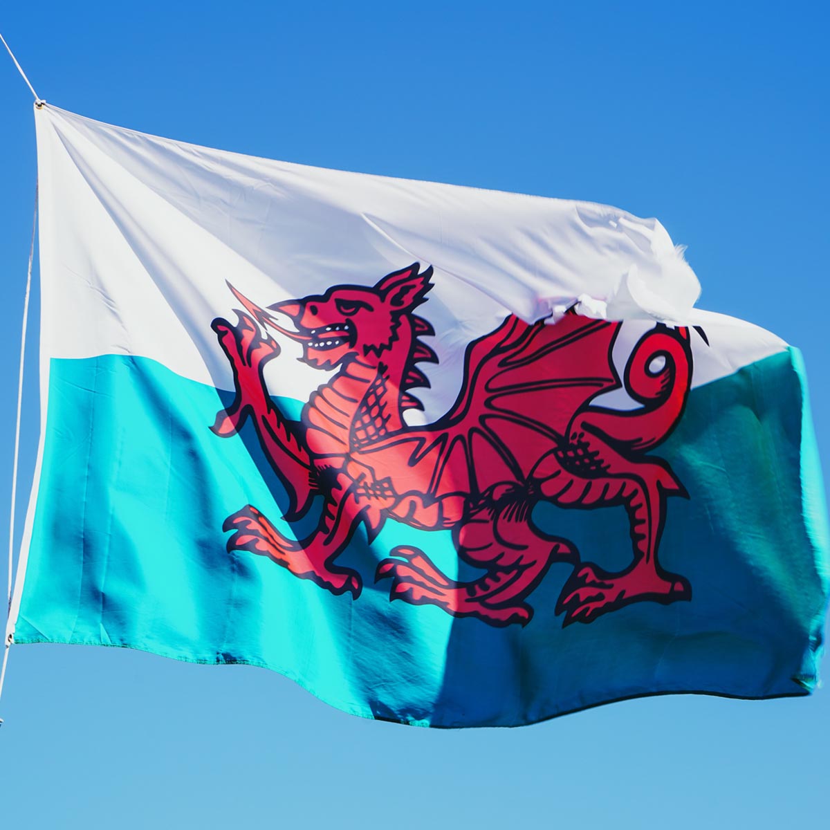 The Welsh flag