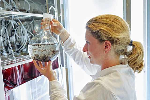 Female student in CSAR