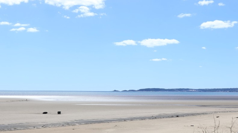 Swansea Bay Beach 