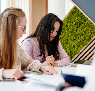 Two students studying