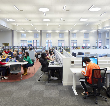 students stuyding in the library