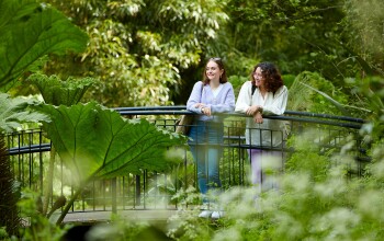 Two people standing on a bridge together in nature 